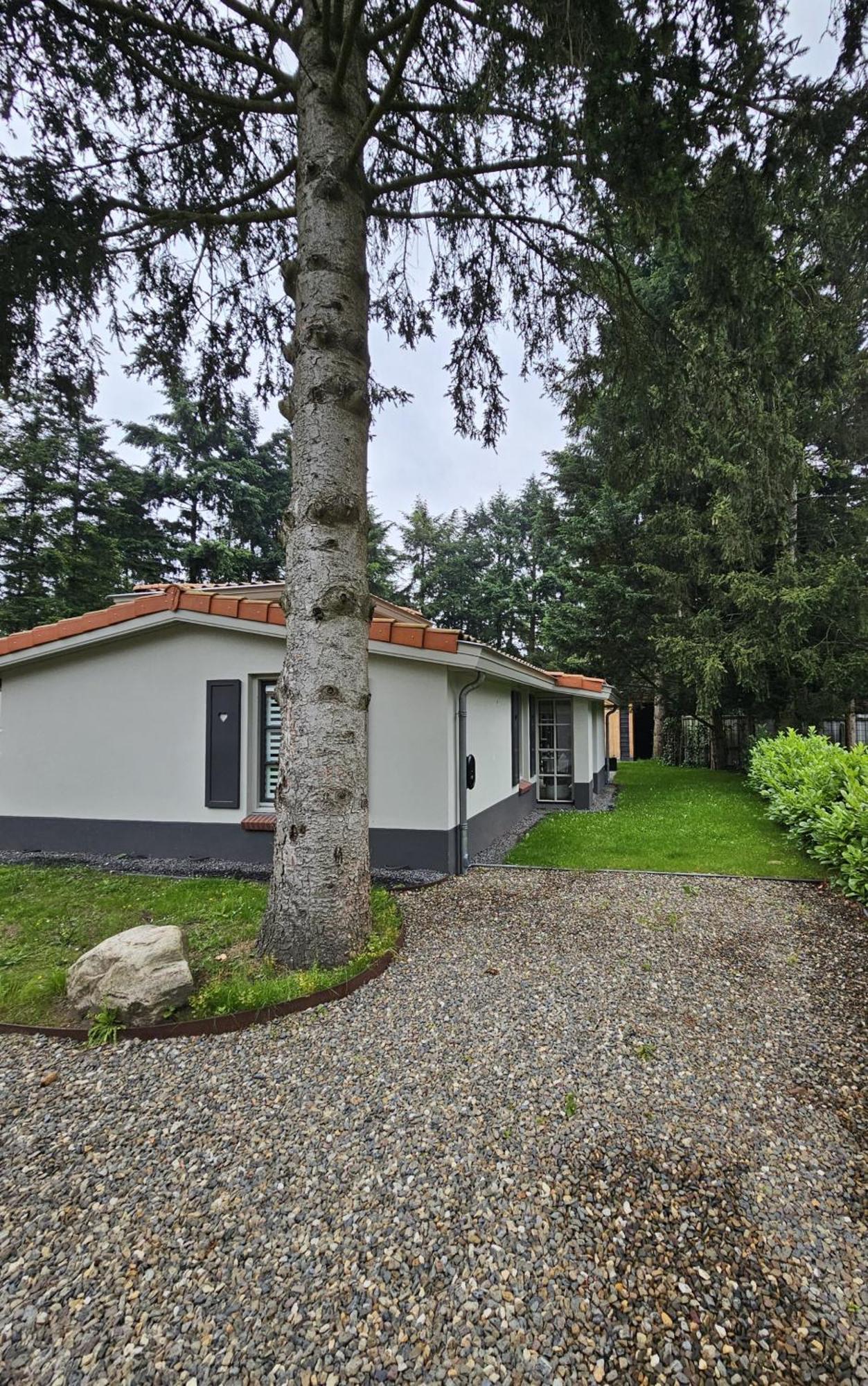 Casa Do Cervo, Boshof 6 Luxe Met Overdekt Terras Ermelo Exterior photo